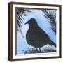 Bird And Berries 8-Tim Nyberg-Framed Giclee Print