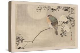 Bird and Cherry Blossoms-null-Stretched Canvas