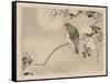 Bird and Cherry Blossoms-null-Framed Stretched Canvas