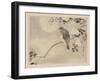 Bird and Cherry Blossoms-null-Framed Art Print