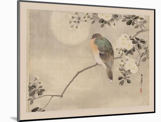 Bird and Cherry Blossoms-null-Mounted Art Print