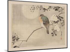 Bird and Cherry Blossoms-null-Mounted Art Print