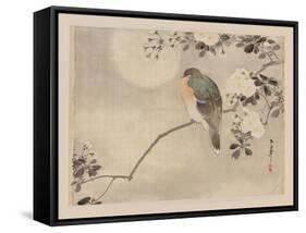 Bird and Cherry Blossoms-null-Framed Stretched Canvas