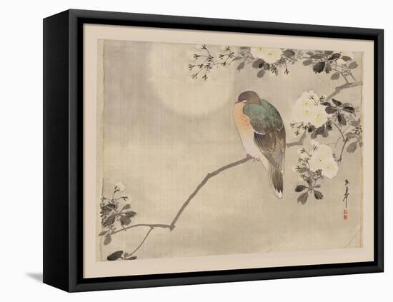 Bird and Cherry Blossoms-null-Framed Stretched Canvas