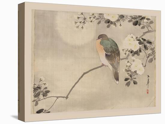 Bird and Cherry Blossoms-null-Stretched Canvas