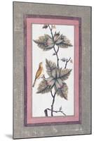 Bird and Flower Study, C.1780-null-Mounted Giclee Print