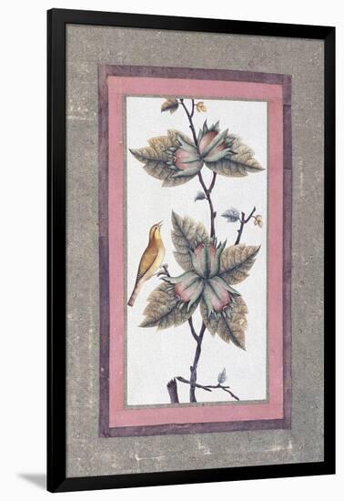 Bird and Flower Study, C.1780-null-Framed Giclee Print