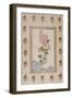 Bird and Flower Study, Mughal India, circa 18th Century-null-Framed Giclee Print