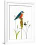 Bird and Honey Bee Print-Blenda Tyvoll-Framed Art Print