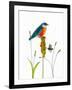 Bird and Honey Bee Print-Blenda Tyvoll-Framed Art Print