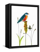 Bird and Honey Bee Print-Blenda Tyvoll-Framed Stretched Canvas