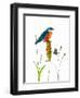 Bird and Honey Bee Print-Blenda Tyvoll-Framed Art Print