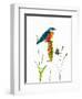 Bird and Honey Bee Print-Blenda Tyvoll-Framed Art Print