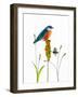 Bird and Honey Bee Print-Blenda Tyvoll-Framed Art Print