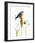 Bird and Honey Bee Print-Blenda Tyvoll-Framed Art Print