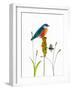 Bird and Honey Bee Print-Blenda Tyvoll-Framed Art Print