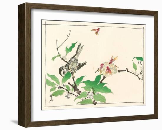 Bird and Hornets-Kyosai Kawanabe-Framed Giclee Print