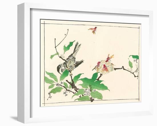 Bird and Hornets-Kyosai Kawanabe-Framed Giclee Print