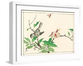 Bird and Hornets-Kyosai Kawanabe-Framed Giclee Print