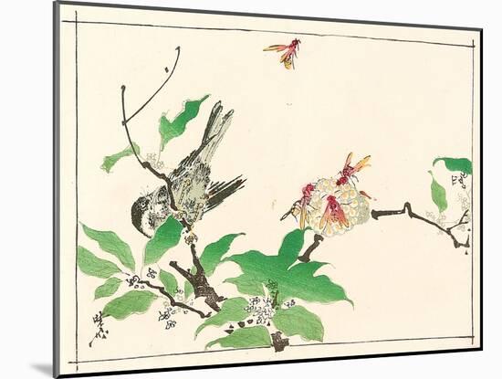 Bird and Hornets-Kyosai Kawanabe-Mounted Giclee Print