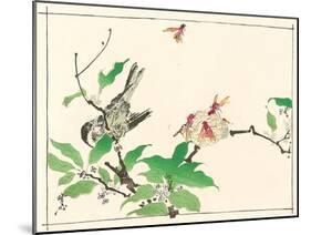 Bird and Hornets-Kyosai Kawanabe-Mounted Giclee Print