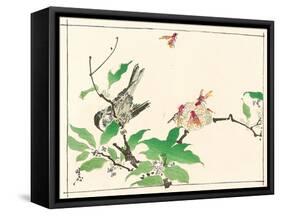 Bird and Hornets-Kyosai Kawanabe-Framed Stretched Canvas