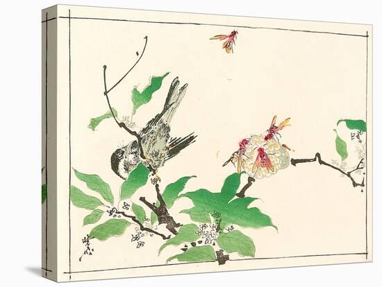 Bird and Hornets-Kyosai Kawanabe-Stretched Canvas