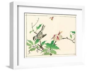 Bird and Hornets-Kyosai Kawanabe-Framed Giclee Print