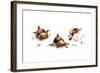 Bird and Ladybug-Peggy Harris-Framed Giclee Print