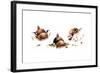 Bird and Ladybug-Peggy Harris-Framed Giclee Print