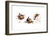 Bird and Ladybug-Peggy Harris-Framed Giclee Print