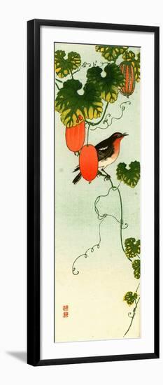 Bird and Orange Fruit Vine-Koson Ohara-Framed Giclee Print