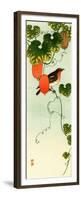 Bird and Orange Fruit Vine-Koson Ohara-Framed Premium Giclee Print