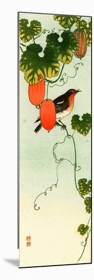 Bird and Orange Fruit Vine-Koson Ohara-Mounted Premium Giclee Print