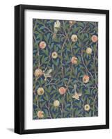 'Bird and Pomegranate' Wallpaper Design, printed by John Henry Dearle-William Morris-Framed Giclee Print