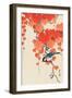 Bird and Red Ivy-Koson Ohara-Framed Premium Giclee Print