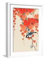 Bird and Red Ivy-Koson Ohara-Framed Premium Giclee Print