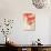 Bird and Red Ivy-Koson Ohara-Premium Giclee Print displayed on a wall