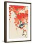 Bird and Red Ivy-Koson Ohara-Framed Premium Giclee Print