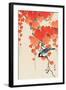 Bird and Red Ivy-Koson Ohara-Framed Premium Giclee Print