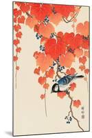 Bird and Red Ivy-Koson Ohara-Mounted Premium Giclee Print