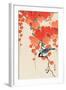 Bird and Red Ivy-Koson Ohara-Framed Giclee Print