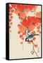 Bird and Red Ivy-Koson Ohara-Framed Stretched Canvas