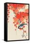 Bird and Red Ivy-Koson Ohara-Framed Stretched Canvas