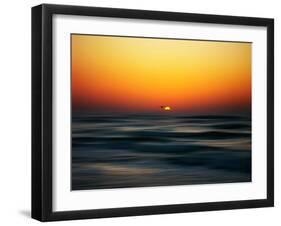 Bird at Sunset-Josh Adamski-Framed Photographic Print