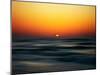 Bird at Sunset-Josh Adamski-Mounted Photographic Print