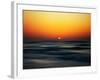 Bird at Sunset-Josh Adamski-Framed Photographic Print