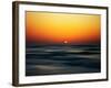 Bird at Sunset-Josh Adamski-Framed Photographic Print