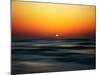 Bird at Sunset-Josh Adamski-Mounted Photographic Print