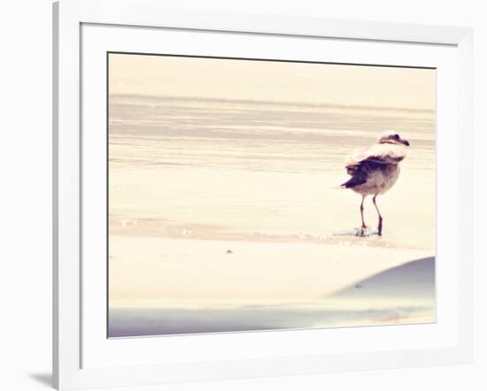 Bird at The Beach-Sylvia Coomes-Framed Photographic Print